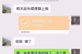 沈丘专业催债公司的市场需求和前景分析